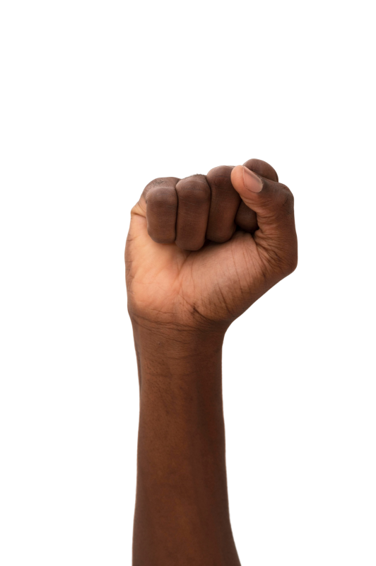 black-person-holding-their-fist-up https://lex-dd.com/patrimoine/wp-content/uploads/sites/2/2023/11/black-person-holding-their-fist-up.png